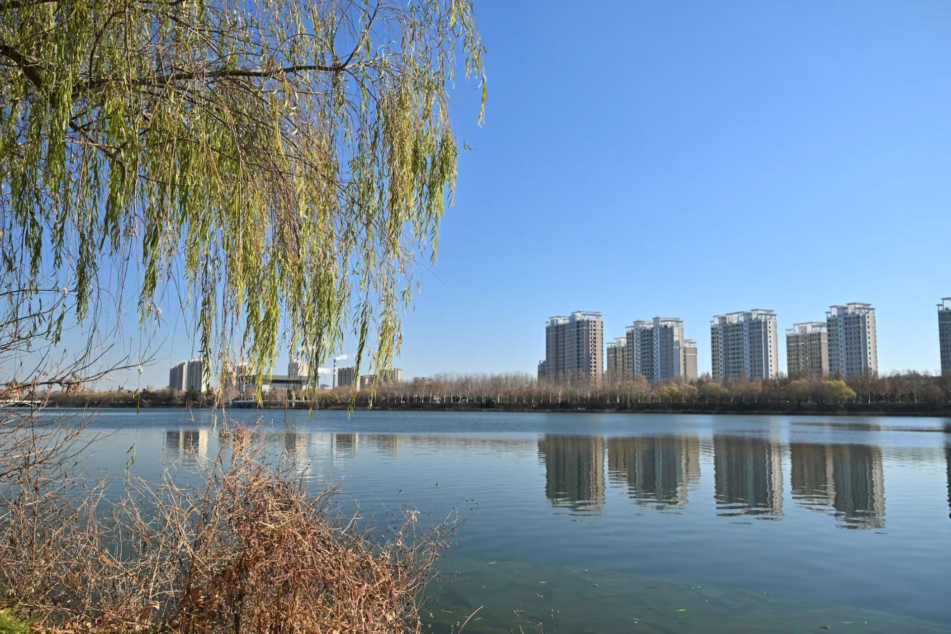 对岸的小区.jpg