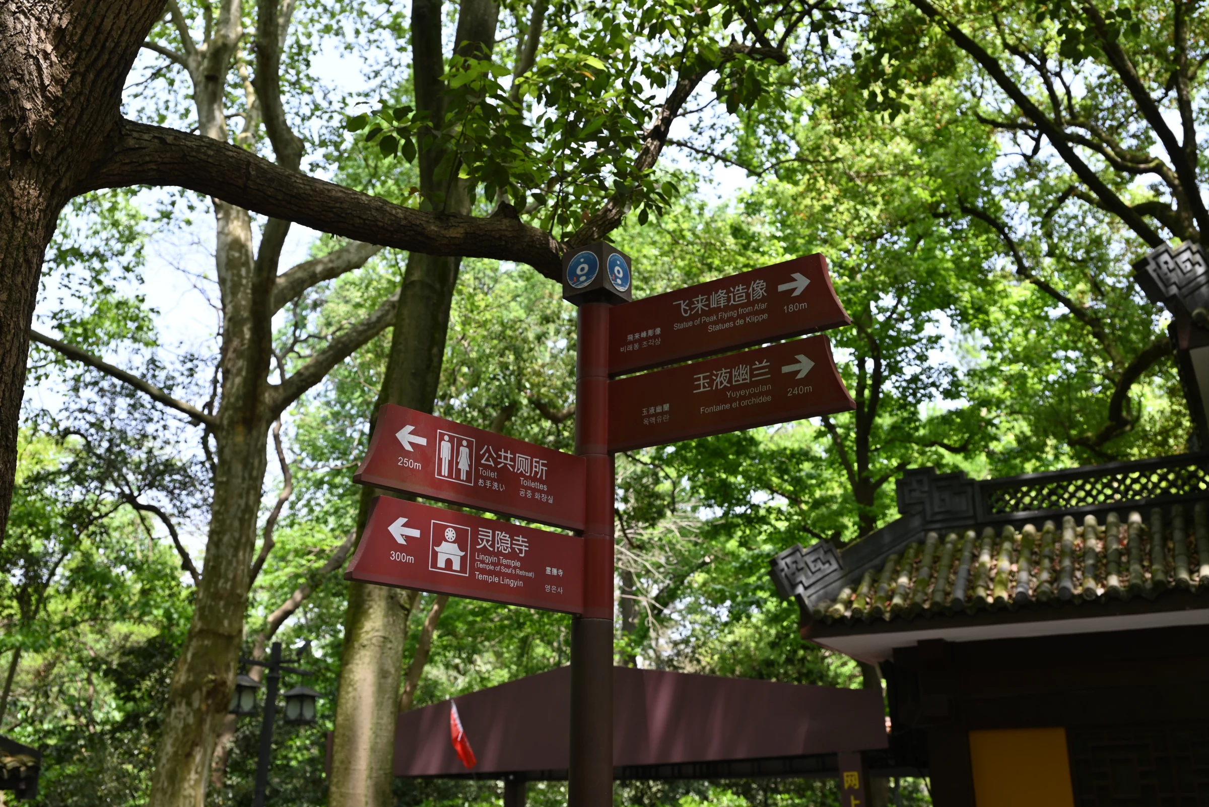 西湖灵隐寺.webp